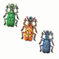 Broche escarabajo