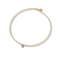 Harper Choker & charms